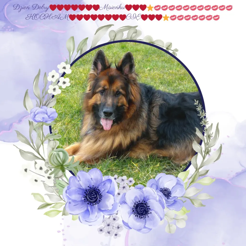 Condolence image of Dzień Dobry❤️❤️❤️mój Ukochany❤️❤️❤️❤️❤️❤️❤️Misieńku❤️❤️❤️