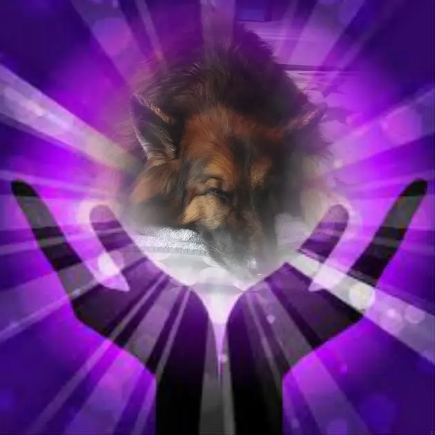 Condolence image of Dobrej Nocki❤️❤️❤️❤️❤️❤️mój Ukochany❤️❤️❤️❤️❤️❤️Misieńku❤️❤️❤️