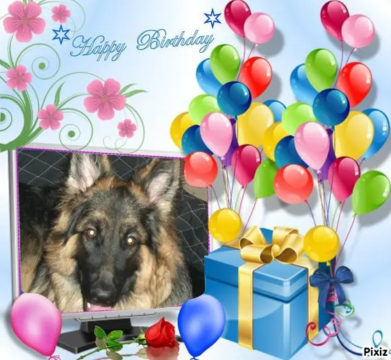 Condolence image of Tanja mit Timmy im Herzen