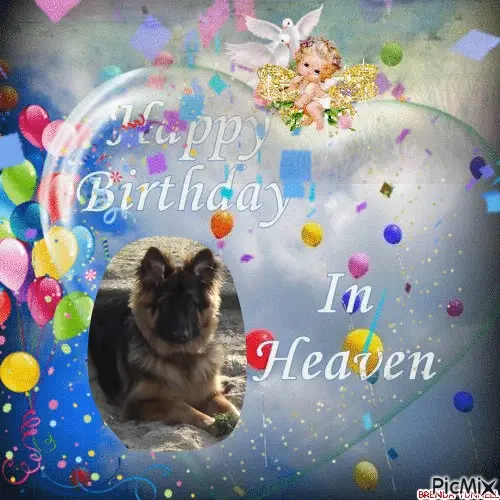 Condolence image of 16. URODZINKI❤️❤️❤️❤️❤️❤️❤️❤️❤️❤️❤️❤️❤️❤️❤️MOJEGO MISIEŃKA❤️❤️❤️⭐️