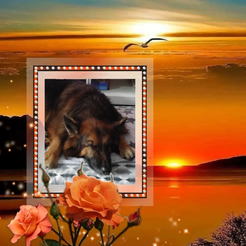 Condolence image of Dobrej Nocki❤️❤️❤️❤️❤️❤️mój Ukochany❤️❤️❤️❤️❤️❤️Misieńku❤️❤️❤️