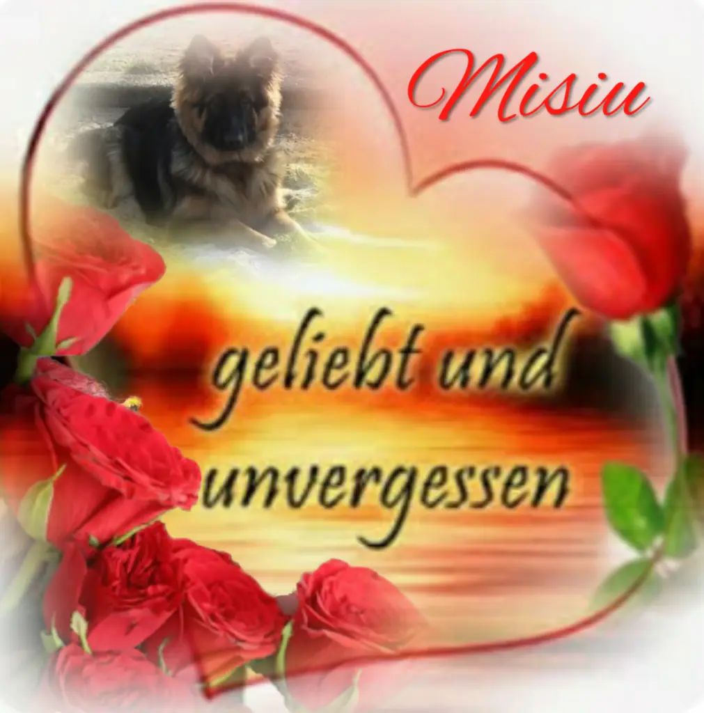 Condolence image of Niedziela...63 miesiące...274 tygodnie bez Ciebie kochany Misiu❤...