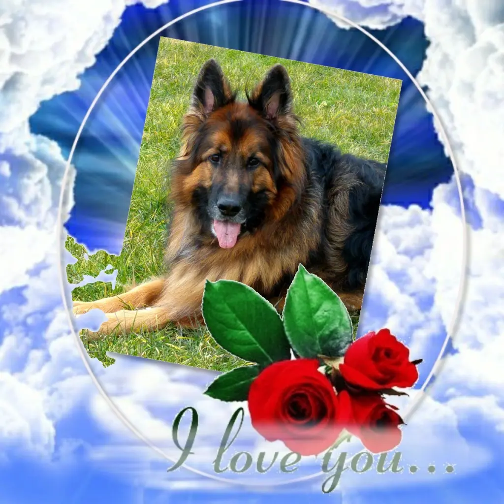 Condolence image of Dzień Dobry❤️❤️❤️mój Ukochany❤️❤️❤️❤️❤️❤️❤️Misieńku❤️❤️❤️