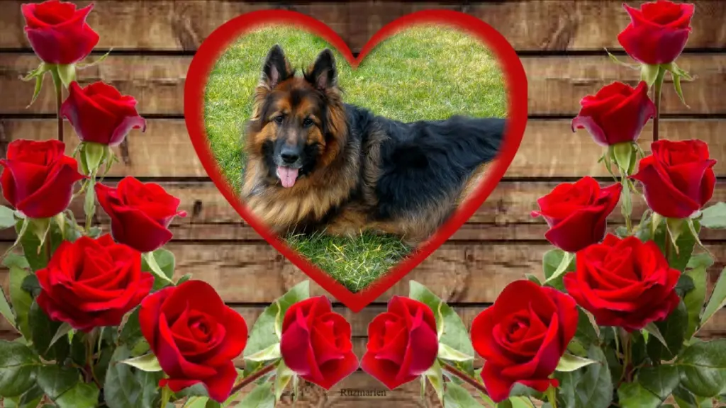 Condolence image of Dobry Wieczór❤️❤️❤️Mińku❤️❤️❤️