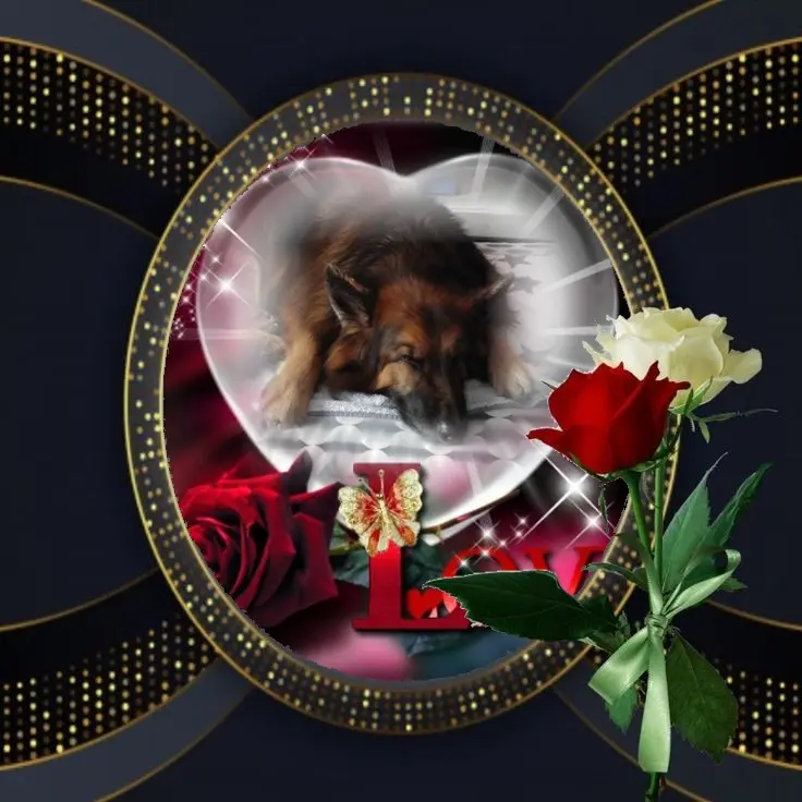 Condolence image of Dobrej Nocki❤️❤️❤️❤️❤️❤️mój Ukochany❤️❤️❤️❤️❤️❤️Misieńku❤️❤️❤️