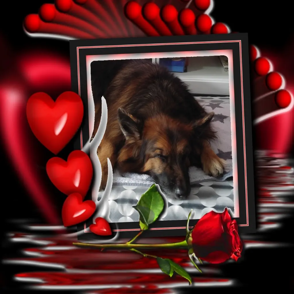 Condolence image of Dobrej Nocki❤️❤️❤️❤️❤️❤️mój Ukochany❤️❤️❤️❤️❤️❤️Misieńku❤️❤️❤️