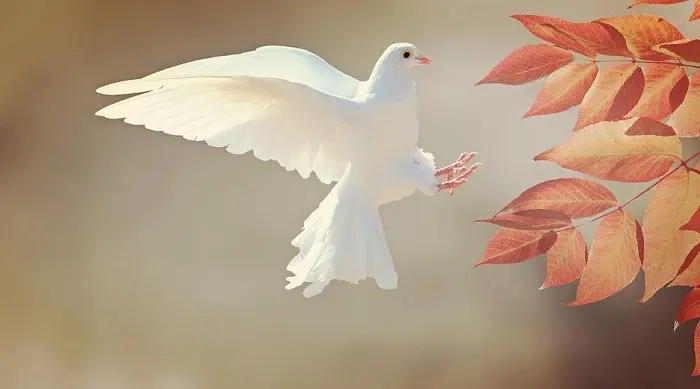 Condolence image of Gaby mit Snowy im Herzen 