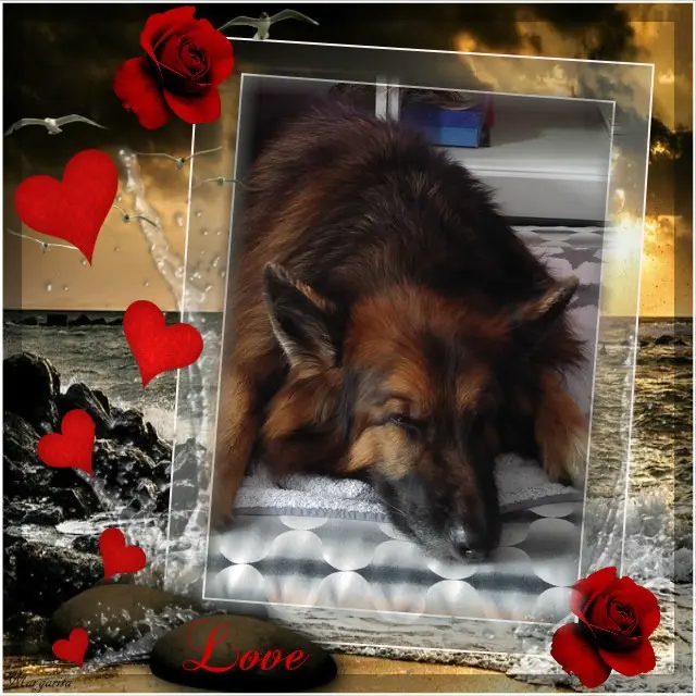 Condolence image of Dobrej Nocki❤️❤️❤️❤️❤️❤️mój Ukochany❤️❤️❤️❤️❤️❤️Misieńku❤️❤️❤️