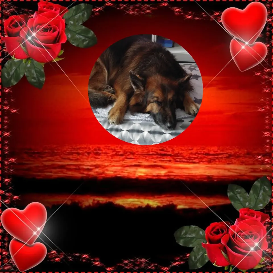 Condolence image of Dobrej Nocki❤️❤️❤️❤️❤️❤️mój Ukochany❤️❤️❤️❤️❤️❤️Misieńku❤️❤️❤️