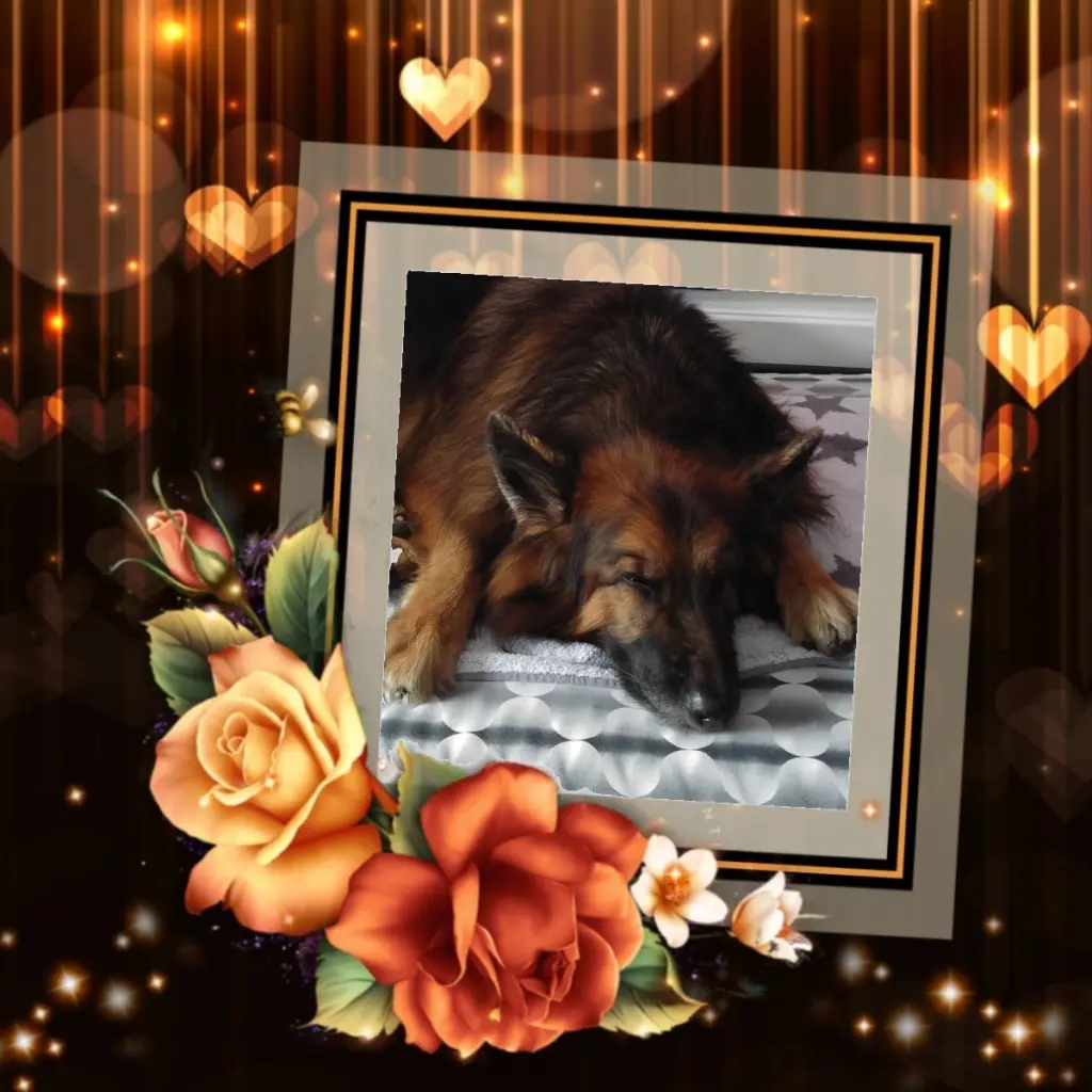 Condolence image of Dobrej Nocki❤️❤️❤️❤️❤️❤️mój Ukochany❤️❤️❤️❤️❤️❤️Misieńku❤️❤️❤️