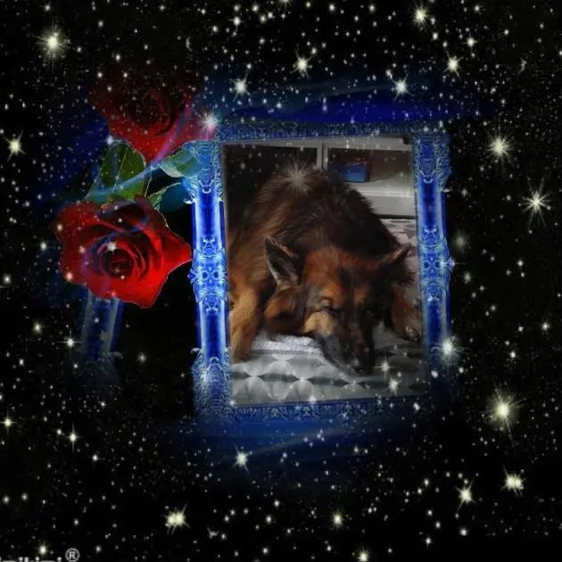Condolence image of Dobrej Nocki❤️❤️❤️❤️❤️❤️mój Ukochany❤️❤️❤️❤️❤️❤️Misieńku❤️❤️❤️