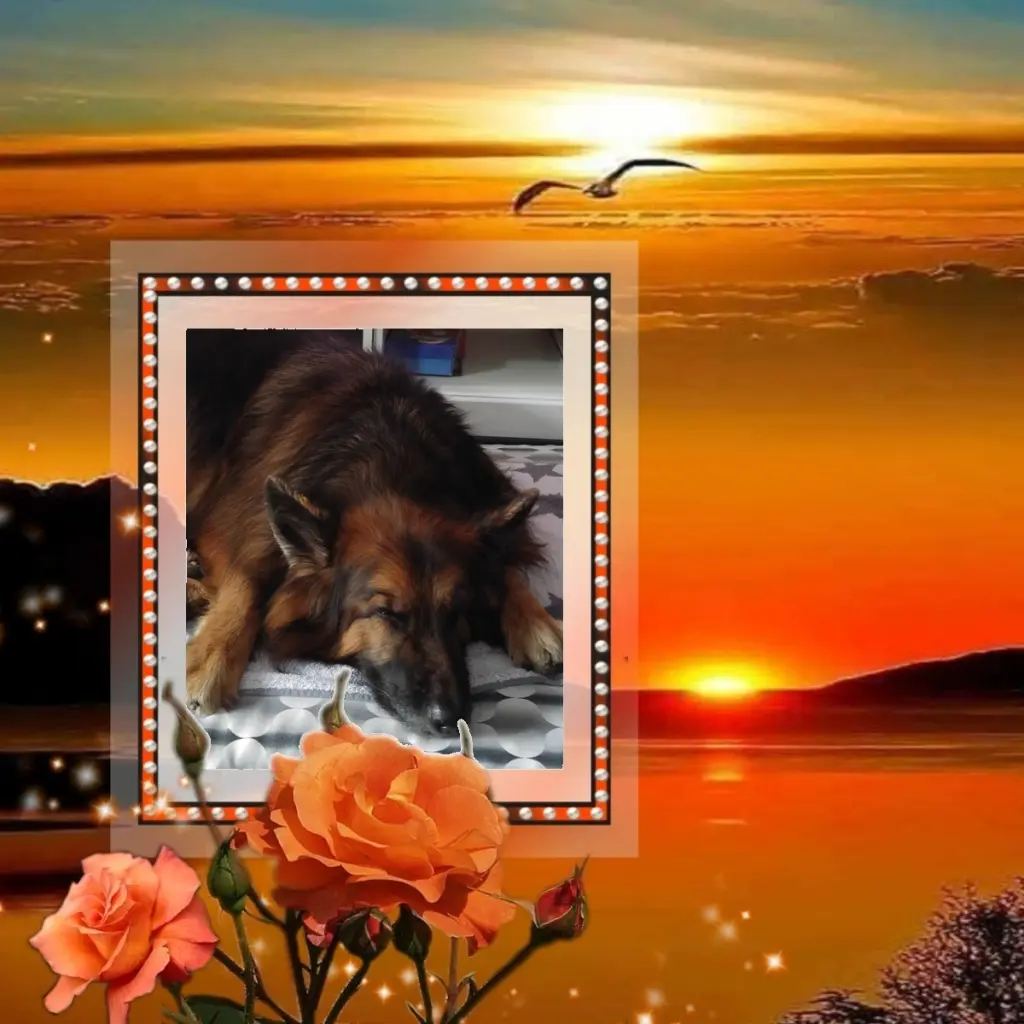 Condolence image of Dobrej Nocki❤️❤️❤️❤️❤️❤️mój Ukochany❤️❤️❤️❤️❤️❤️Misieńku❤️❤️❤️