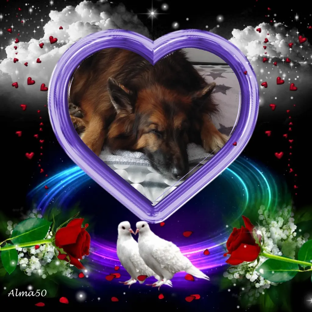 Condolence image of Dobrej Nocki❤️❤️❤️❤️❤️❤️mój Ukochany❤️❤️❤️❤️❤️❤️Misieńku❤️❤️❤️