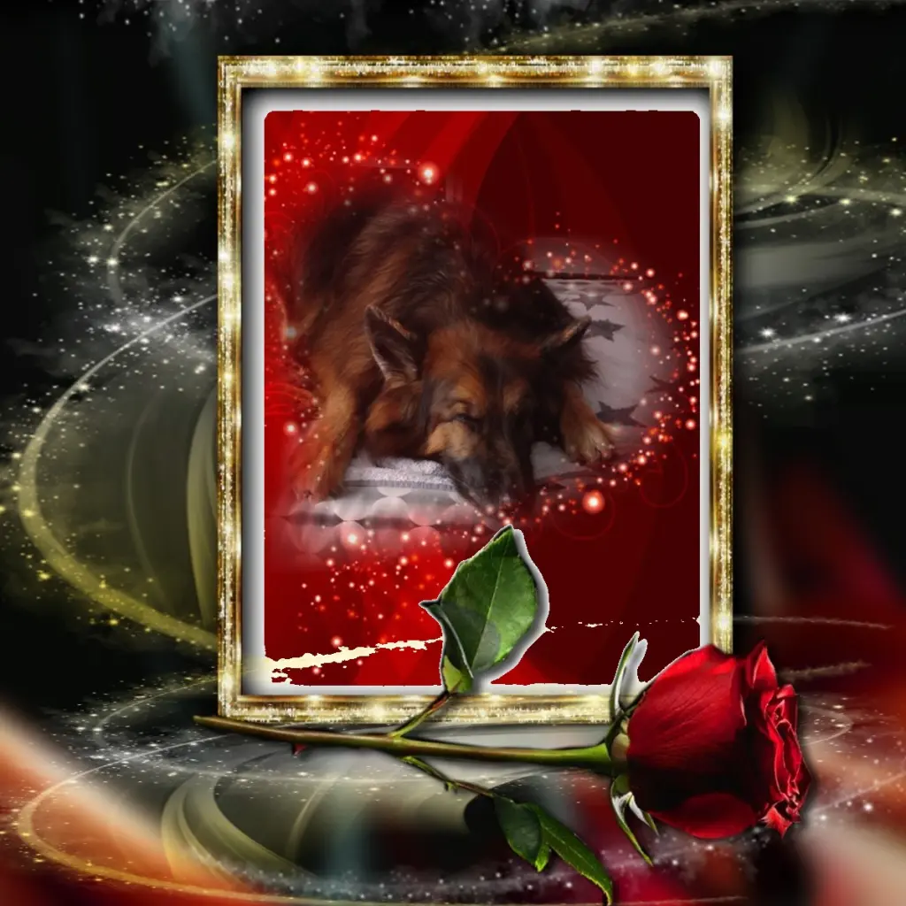 Condolence image of Dobrej Nocki❤️❤️❤️❤️❤️❤️mój Ukochany❤️❤️❤️❤️❤️❤️Misieńku❤️❤️❤️