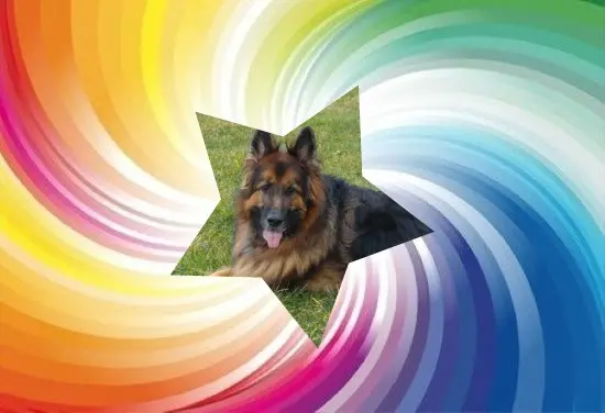 Condolence image of Dzień Dobry❤️❤️❤️mój Ukochany❤️❤️❤️❤️❤️❤️❤️Misieńku❤️❤️❤️