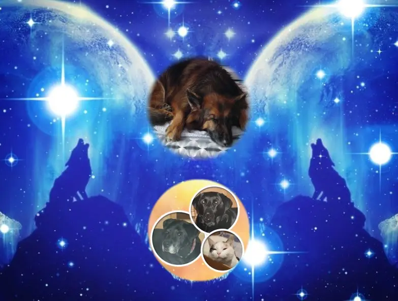 Condolence image of Dobrej Nocki❤️❤️❤️❤️❤️❤️mój Ukochany❤️❤️❤️❤️❤️❤️Misieńku❤️❤️❤️