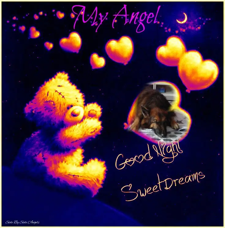 Condolence image of Dobrej Nocki❤️❤️❤️❤️❤️❤️mój Ukochany❤️❤️❤️❤️❤️❤️Misieńku❤️❤️❤️