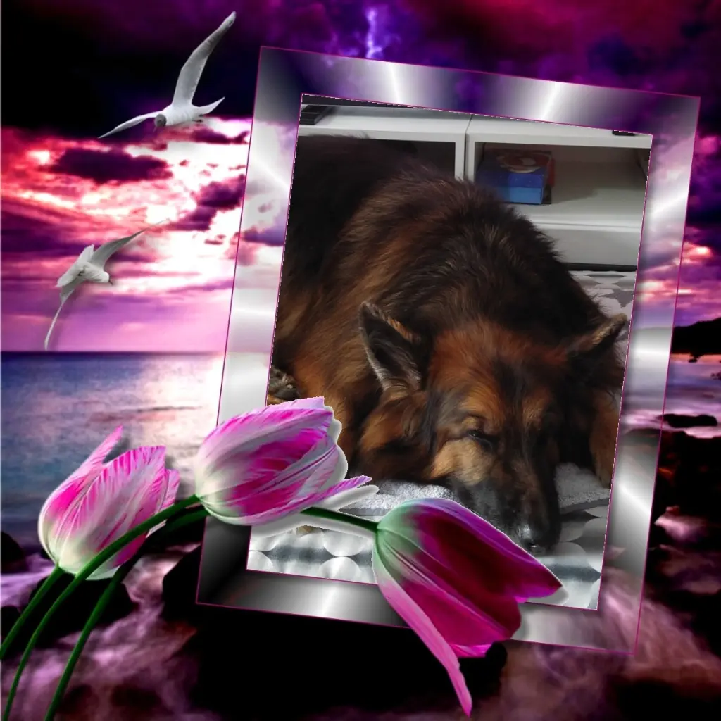 Condolence image of Dobrej Nocki❤️❤️❤️❤️❤️❤️mój Ukochany❤️❤️❤️❤️❤️❤️Misieńku❤️❤️❤️