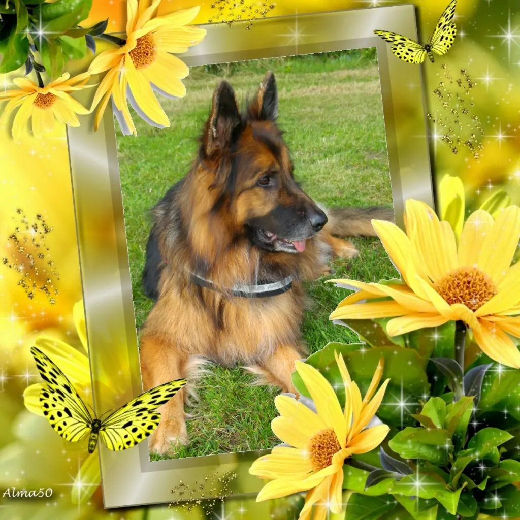 Condolence image of Dzień Dobry❤️❤️❤️mój Ukochany❤️❤️❤️❤️❤️❤️❤️Misieńku❤️❤️❤️
