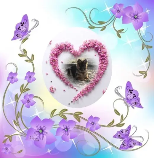 Condolence image of Dzień Dobry❤️❤️❤️mój Ukochany❤️❤️❤️❤️❤️❤️❤️Misieńku❤️❤️❤️