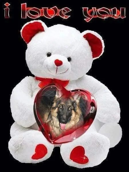 Condolence image of Dzień Dobry❤️❤️❤️mój Ukochany❤️❤️❤️❤️❤️❤️❤️Misieńku❤️❤️❤️