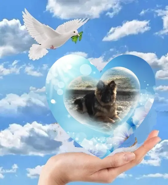 Condolence image of Dzień Dobry❤️❤️❤️mój Ukochany❤️❤️❤️❤️❤️❤️❤️Misieńku❤️❤️❤️