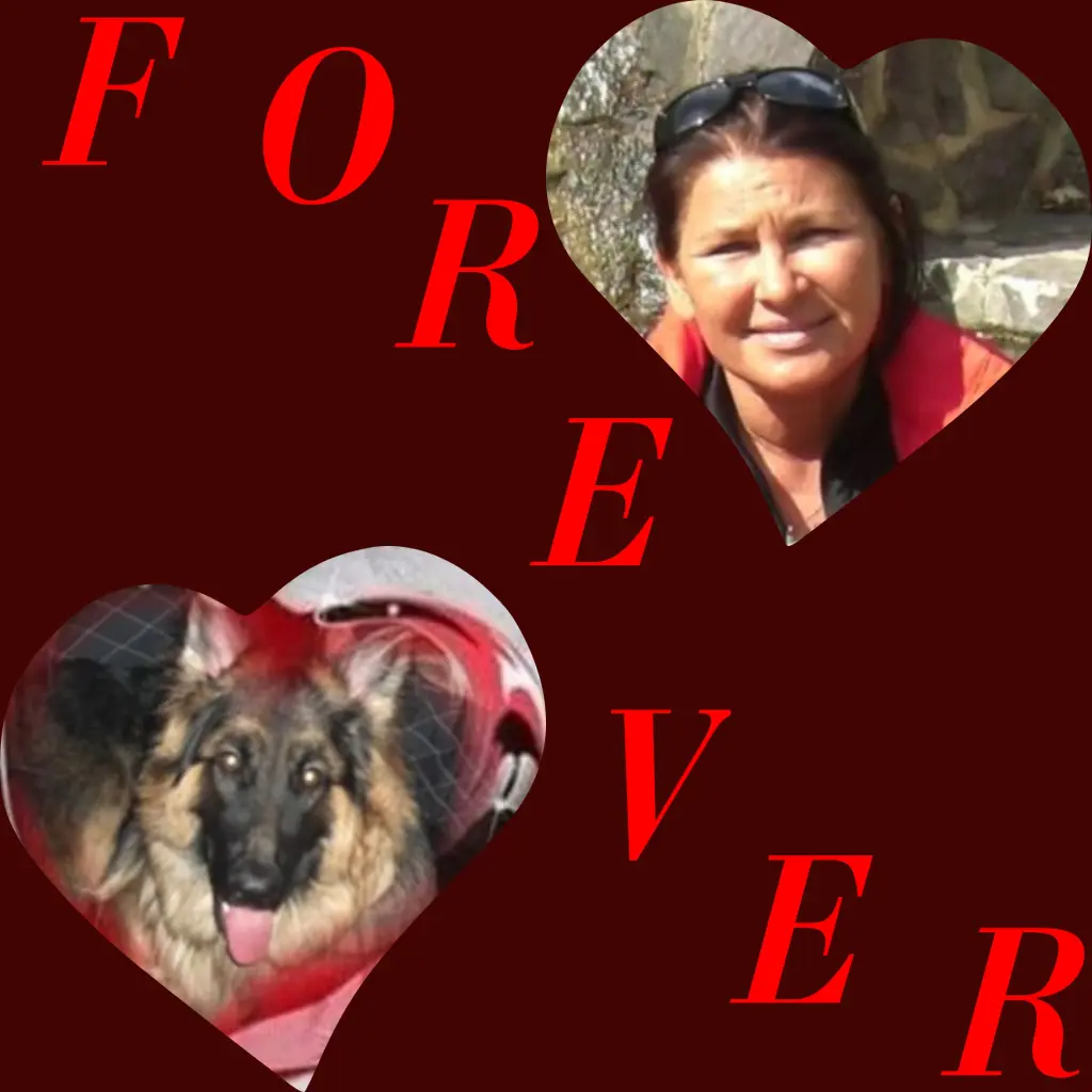 Condolence image of Corinna mit Emma, Pummelchen und anderen Sternlein im ❤️