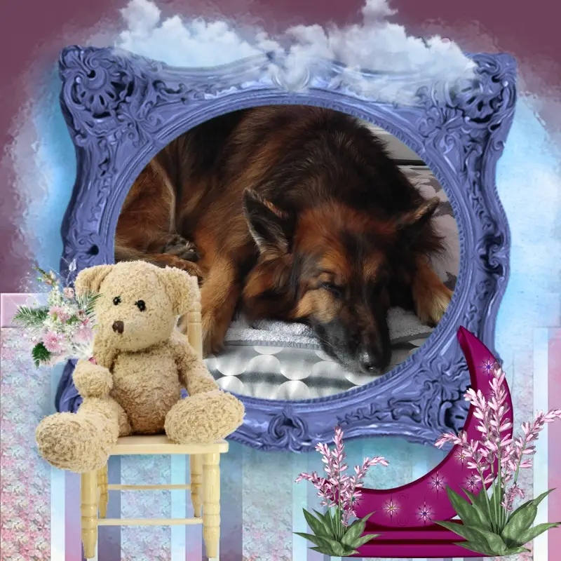 Condolence image of Dobrej Nocki❤️❤️❤️❤️❤️❤️mój Ukochany❤️❤️❤️❤️❤️❤️Misieńku❤️❤️❤️
