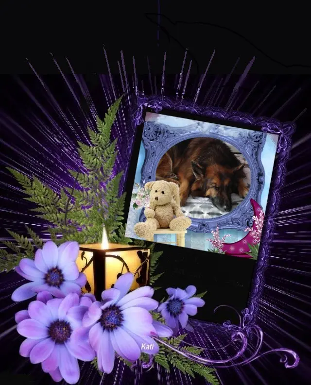 Condolence image of Dobrej Nocki❤️❤️❤️❤️❤️❤️mój Ukochany❤️❤️❤️❤️❤️❤️Misieńku❤️❤️❤️