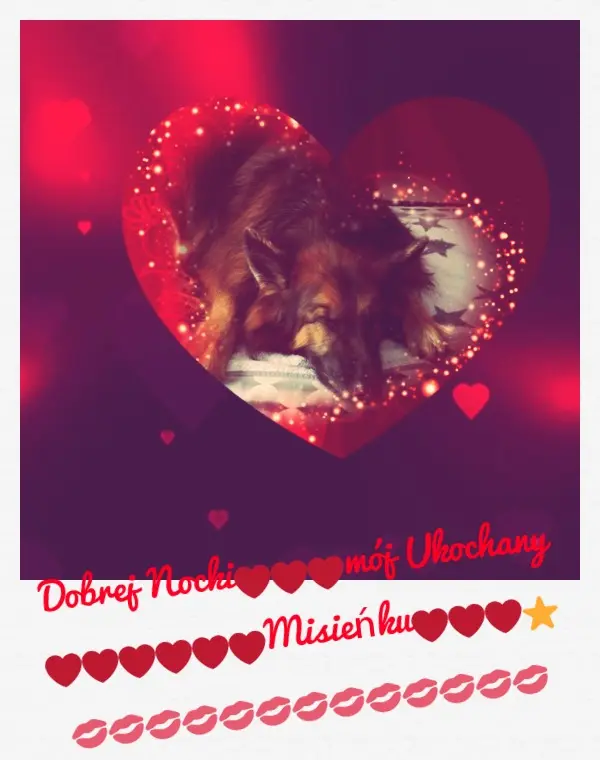 Condolence image of Dobrej Nocki❤️❤️❤️❤️❤️❤️mój Ukochany❤️❤️❤️❤️❤️❤️Misieńku❤️❤️❤️