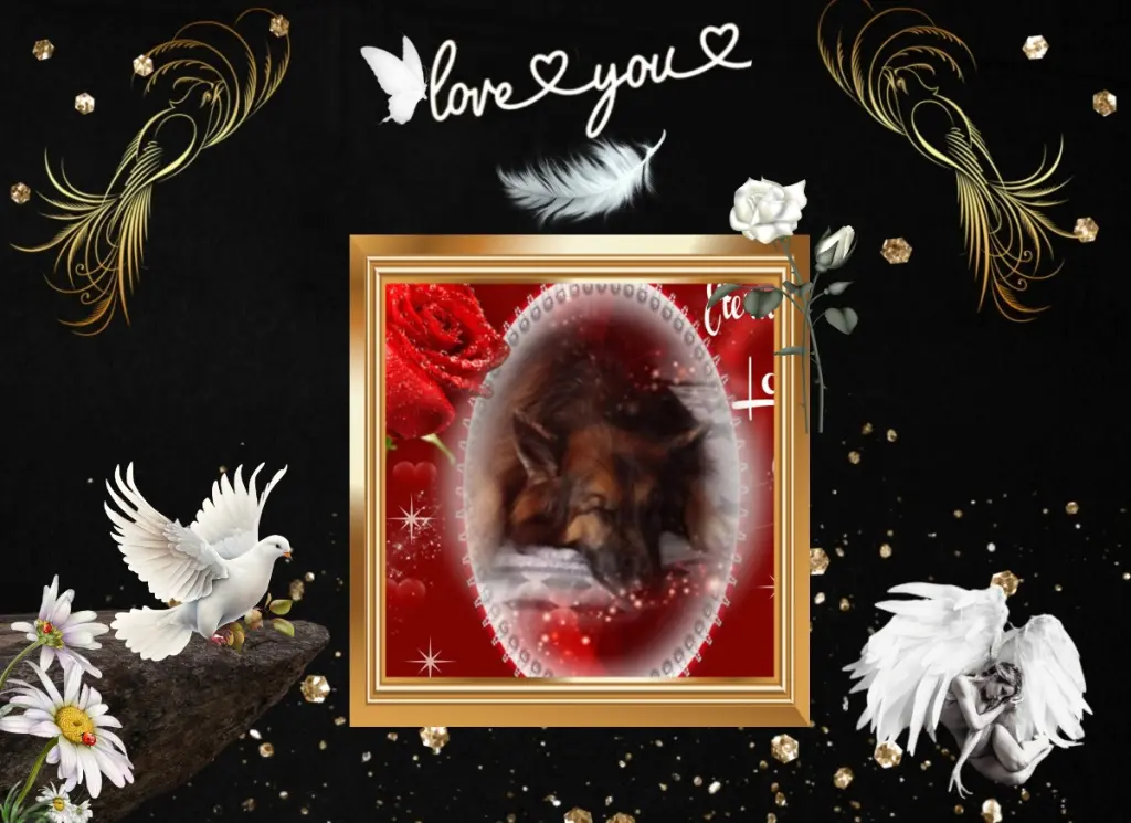 Condolence image of Dobrej Nocki❤️❤️❤️❤️❤️❤️mój Ukochany❤️❤️❤️❤️❤️❤️Misieńku❤️❤️❤️