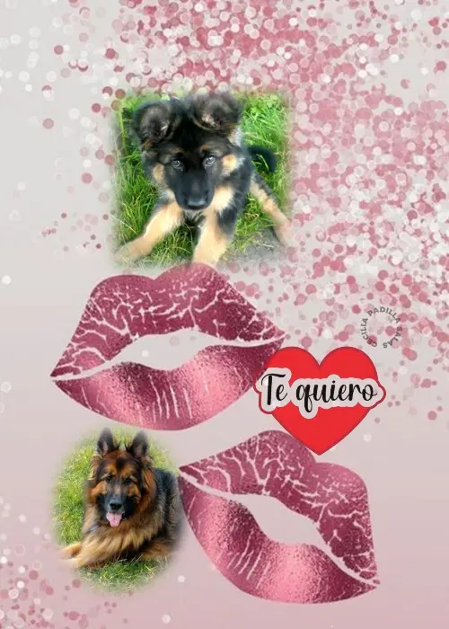 Condolence image of Dobry Wieczór❤️❤️❤️Mińku❤️❤️❤️