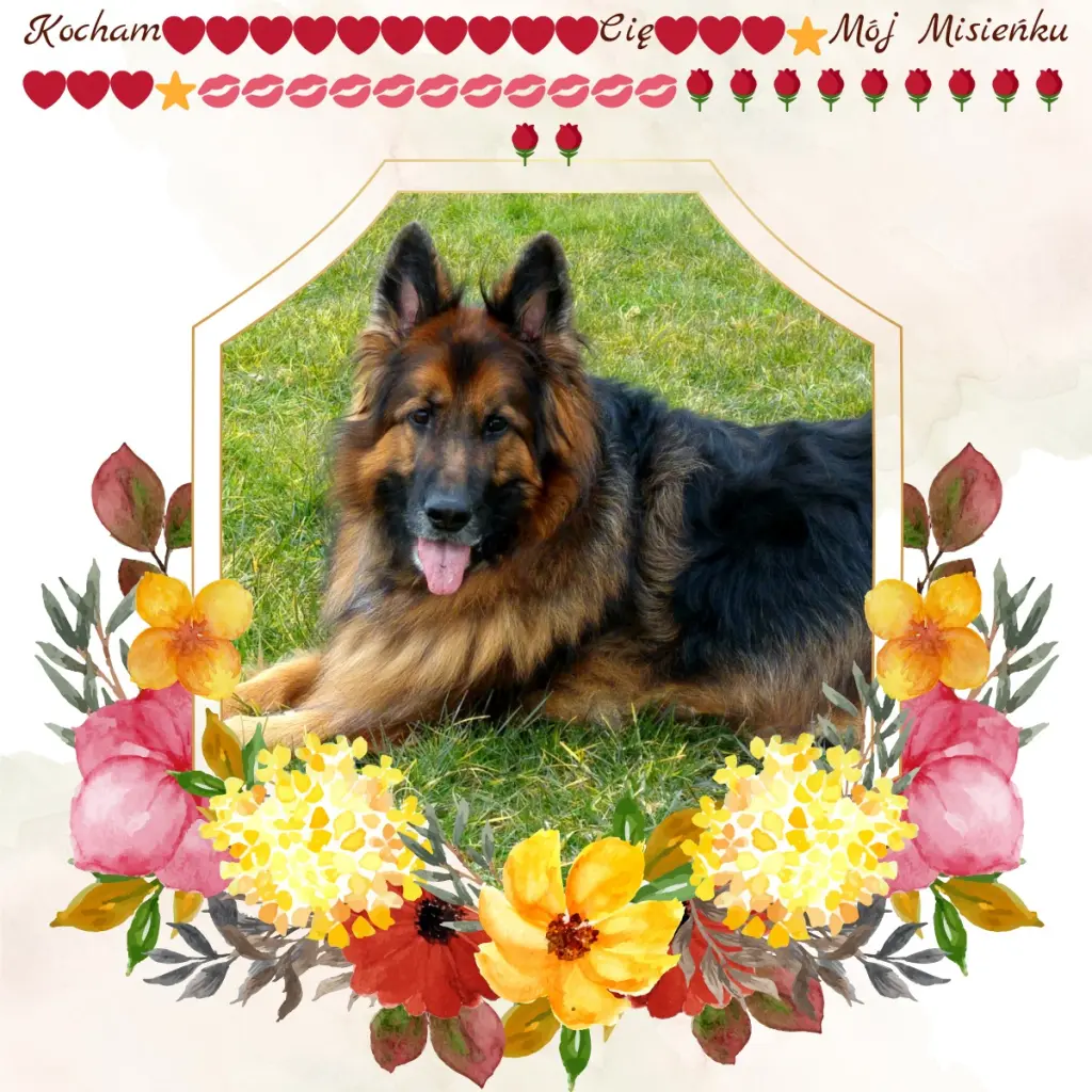Condolence image of Dzień Dobry❤️❤️❤️mój Ukochany❤️❤️❤️❤️❤️❤️❤️Misieńku❤️❤️❤️
