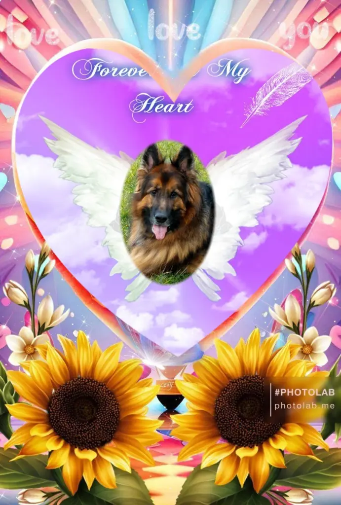Condolence image of Dzień Dobry❤️❤️❤️mój Ukochany❤️❤️❤️❤️❤️❤️❤️Misieńku❤️❤️❤️