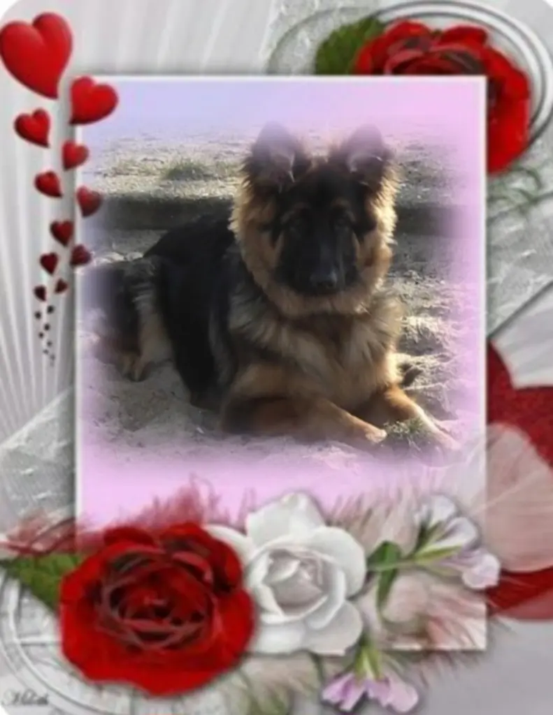 Condolence image of Niedziela...281 tygodni bez Ciebie kochany Misieńku❤️...