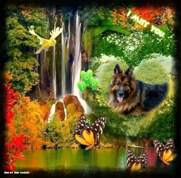 Condolence image of Dzień Dobry❤️❤️❤️mój Ukochany❤️❤️❤️❤️❤️❤️❤️Misieńku❤️❤️❤️