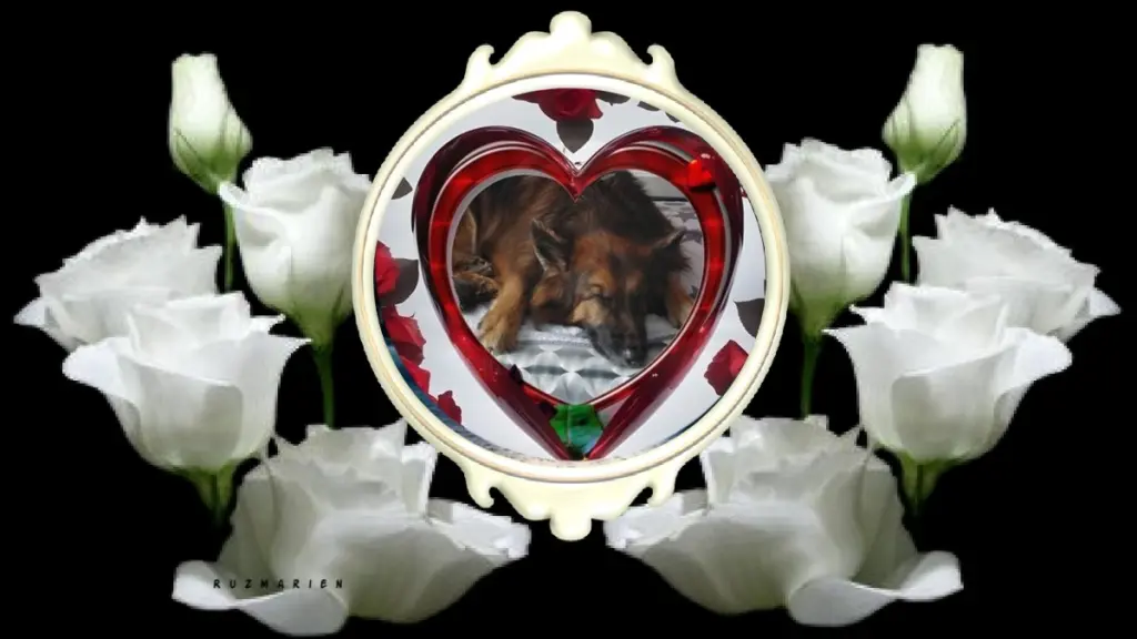 Condolence image of Dobrej Nocki❤️❤️❤️❤️❤️❤️mój Ukochany❤️❤️❤️❤️❤️❤️Misieńku❤️❤️❤️