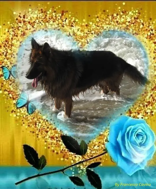Condolence image of Dzień Dobry❤️❤️❤️mój Ukochany❤️❤️❤️❤️❤️❤️❤️Misieńku❤️❤️❤️