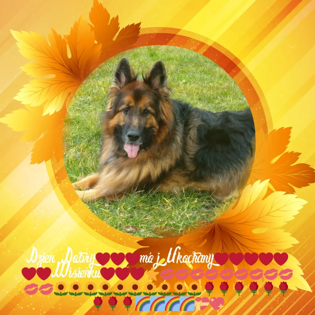 Condolence image of Dzień Dobry❤️❤️❤️mój Ukochany❤️❤️❤️❤️❤️❤️❤️Misieńku❤️❤️❤️