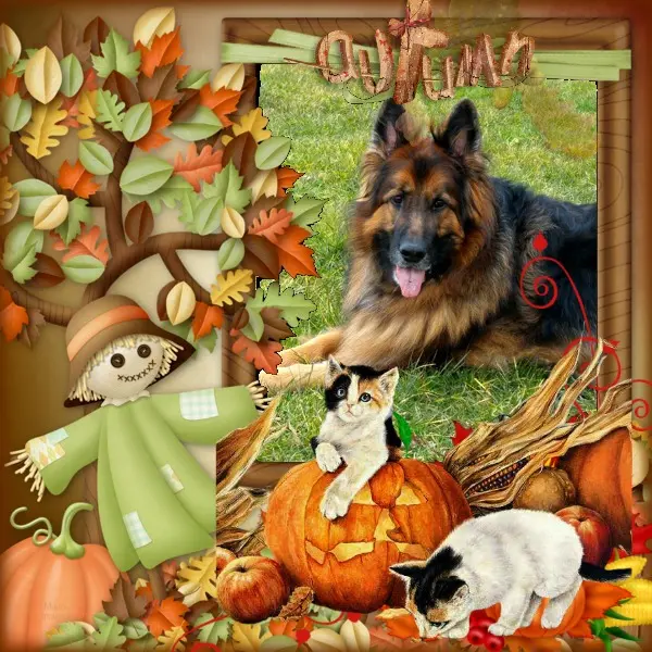 Condolence image of Dzień Dobry❤️❤️❤️mój Ukochany❤️❤️❤️❤️❤️❤️❤️Misieńku❤️❤️❤️