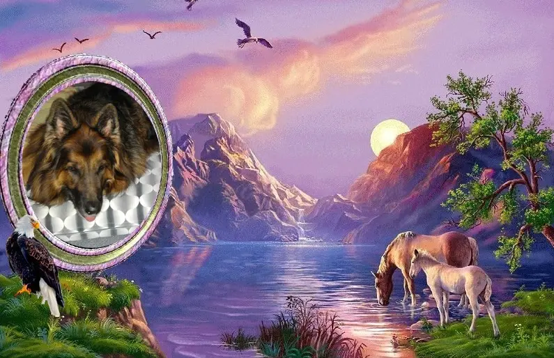 Condolence image of Dobrej Nocki❤️❤️❤️❤️❤️❤️mój Ukochany❤️❤️❤️❤️❤️❤️Misieńku❤️❤️❤️