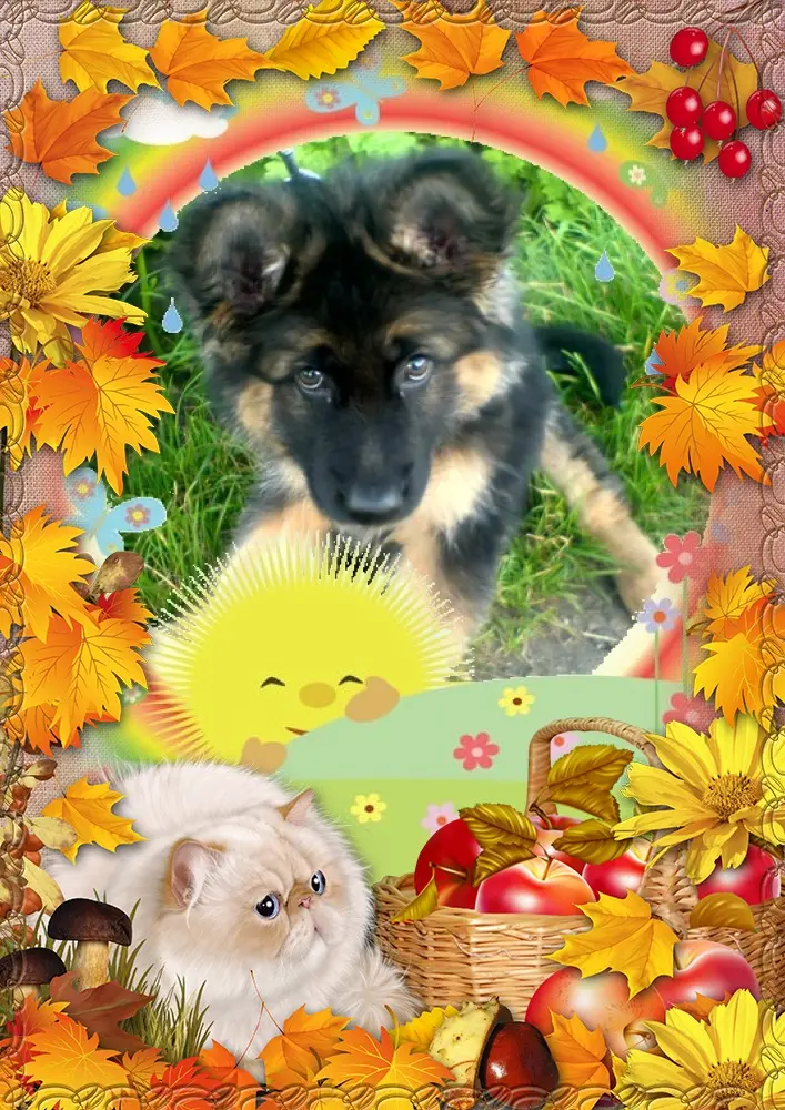 Condolence image of Dzień Dobry❤️❤️❤️mój Ukochany❤️❤️❤️❤️❤️❤️❤️Misieńku❤️❤️❤️
