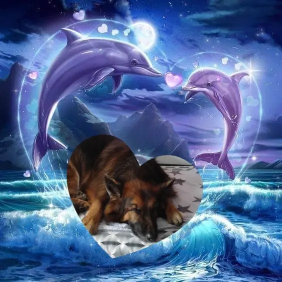 Condolence image of Dobrej Nocki❤️❤️❤️❤️❤️❤️mój Ukochany❤️❤️❤️❤️❤️❤️Misieńku❤️❤️❤️