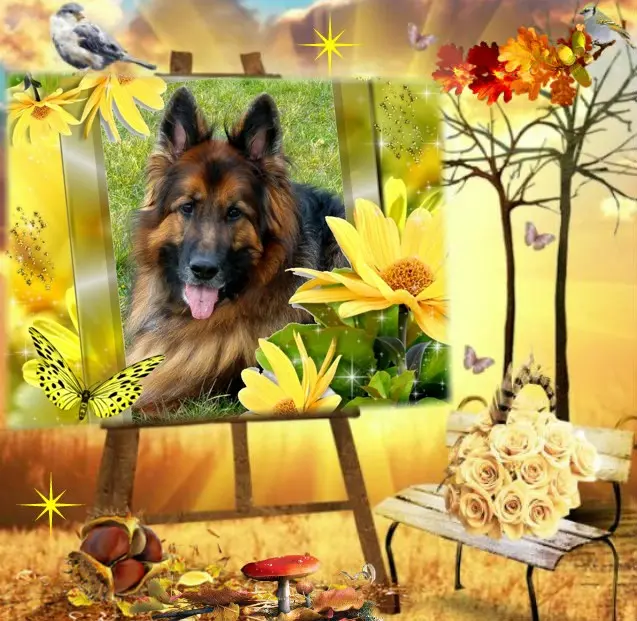 Condolence image of Dzień Dobry❤️❤️❤️mój Ukochany❤️❤️❤️❤️❤️❤️❤️Misieńku❤️❤️❤️