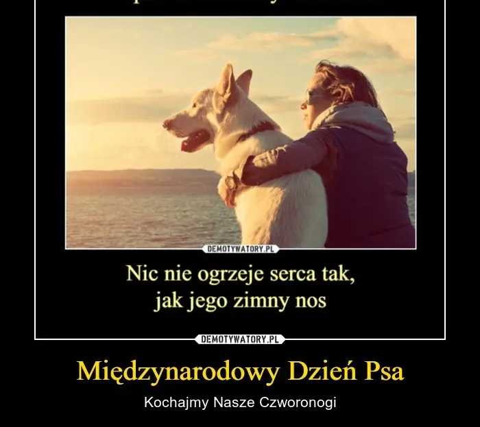 Condolence image of DLA MISIEŃKA❤️❤️❤️⭐️