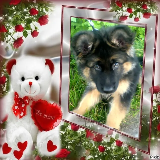 Condolence image of Dzień Dobry❤️❤️❤️mój Ukochany❤️❤️❤️❤️❤️❤️❤️Misieńku❤️❤️❤️