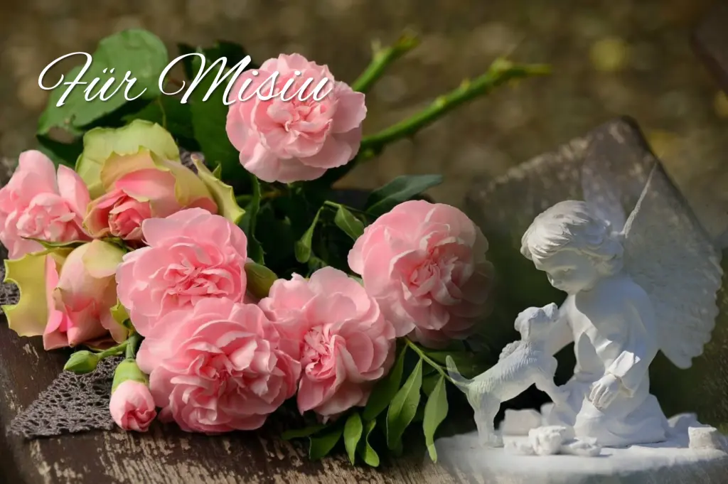 Condolence image of ❤️❤️❤️❤️