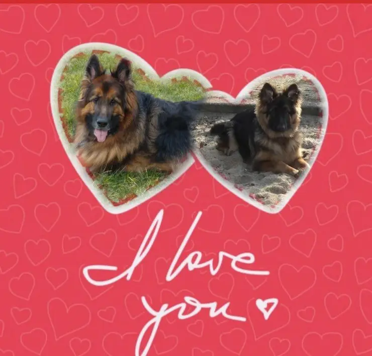 Condolence image of ASKO ❤