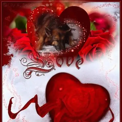 Condolence image of Dobrej Nocki❤️❤️❤️❤️❤️❤️mój Ukochany❤️❤️❤️❤️❤️❤️Misieńku❤️❤️❤️