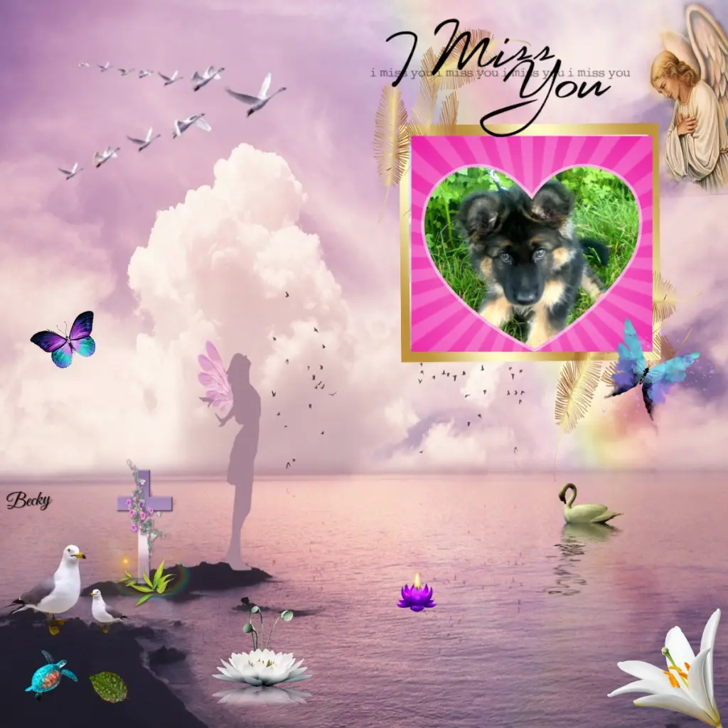 Condolence image of Dzień Dobry❤️❤️❤️mój Ukochany❤️❤️❤️❤️❤️❤️❤️Misieńku❤️❤️❤️